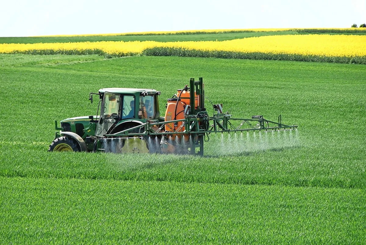 88744fb3d99fa6f56d55ba53cf95e4edae3e466ec7b7539ab9feae889d516032 Der Zucker wird zusammen mit Stickstoff in Wasser gelöst und via Flüssigdüngung in den Weizen gespritzt.