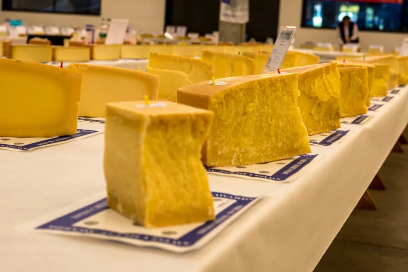 057e10f8131da16f25a84a947fe4fc90fa128088 Hartkäse ist nicht gleich Hartkäse. Das wird spätestens dann klar, wenn zehn oder mehr Laibe nebeneinander auf die Verkostung warten. (Bilder hja)