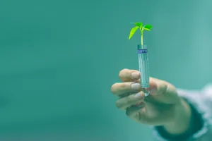 Risiken lassen sich aus Sicht von Scienceindustries nur durch innovative Forschung erreichen. (Symbolbild Pixabay)
