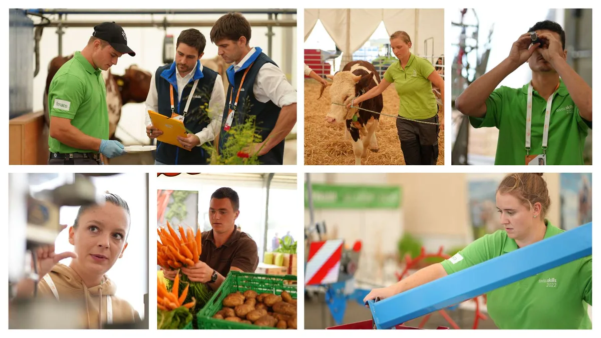 BZ-AKT1-SwissSkills Diese jungen Leute gehen für die Landwirtschaft an die Swiss Skills