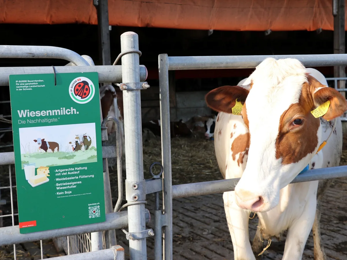 Erstmals werden Produzentenpreise für Wiesenmilch publiziert