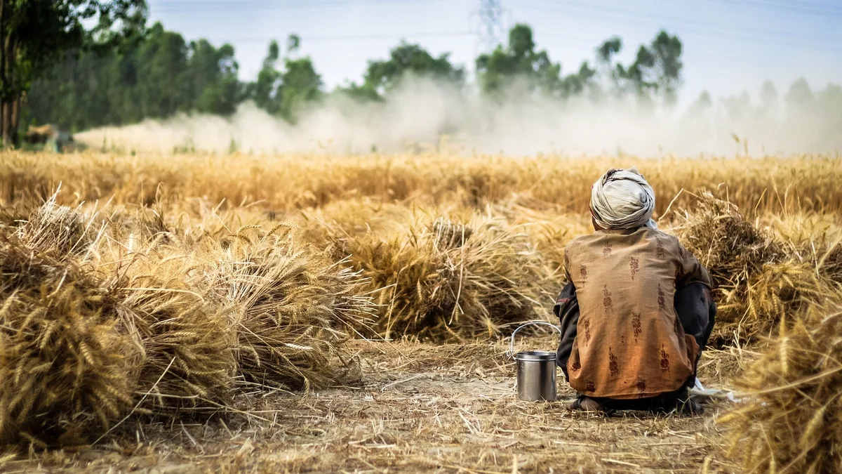 farmer-2260636_1920 «Bio allein kann die Welt nicht ernähren»