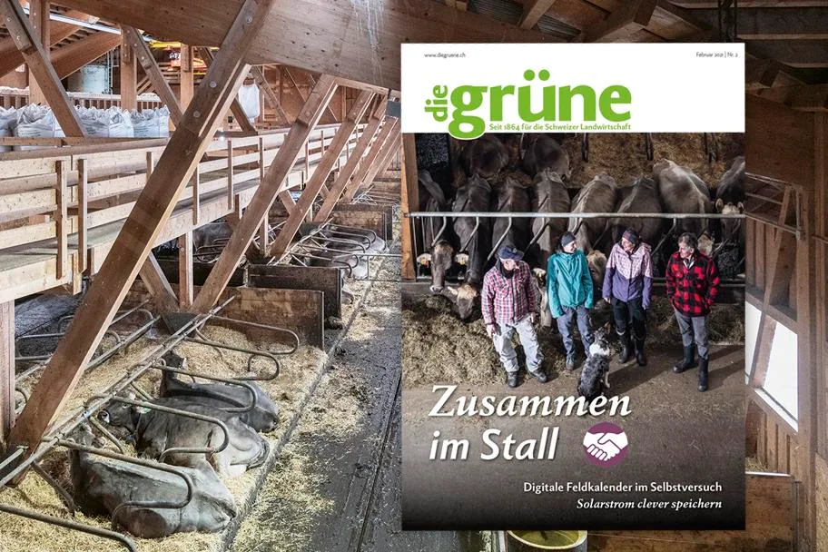 c9d432abb1bf5cb55287735246873a9a7d9f51d0 Das Februar Heft von «die grüne» bespricht unter anderem die Themen Agrarpolitik, digitale Feldkalender und Solarstrom. (Bild DG)