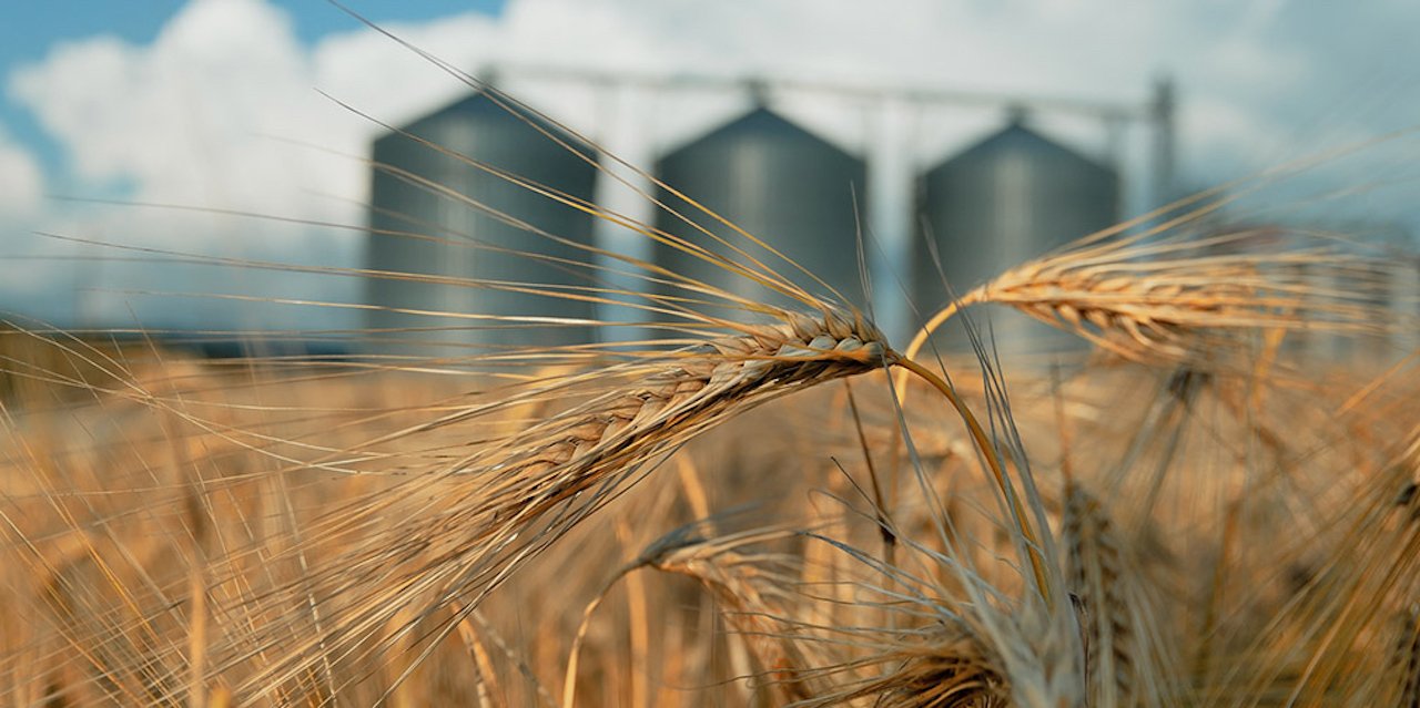 field with grain silos for agriculture