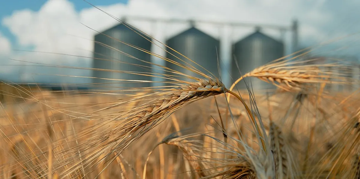 Pflichtlager_Getreide_AdobeStock_171354841-Bild_reservesuisse field with grain silos for agriculture