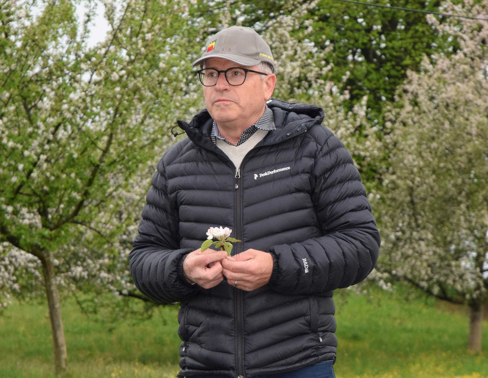 Im Apfel steckt eine reife Leistung