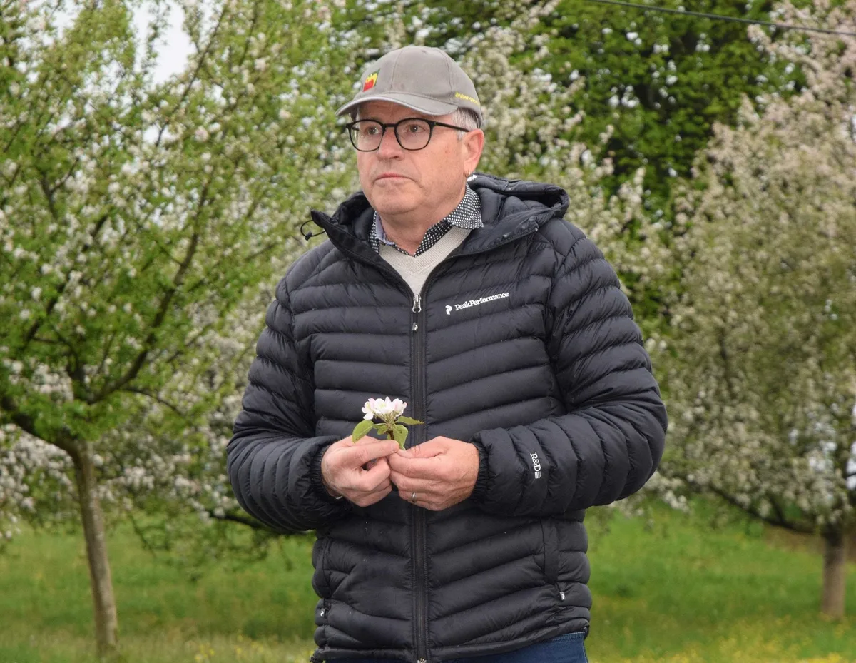 Im Apfel steckt eine reife Leistung