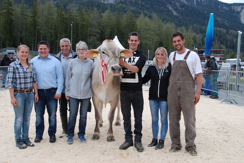 Die Miss Albula 2019, Dally-ET Vanessa, gehört Luzi und Mario Steier aus Savognin. (Bilder Vrena Crameri-Daeppen)
