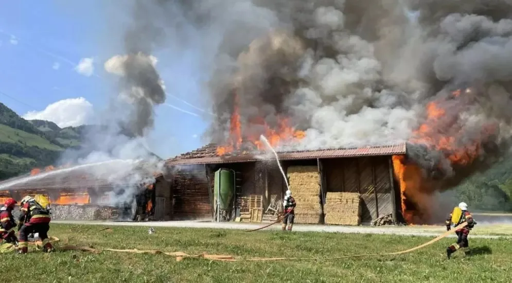 Une-ferme-de__truite-par-les-flammes-a__-Albeuve-995×550 Stall auf Bauernhof in Albeuve abgebrannt