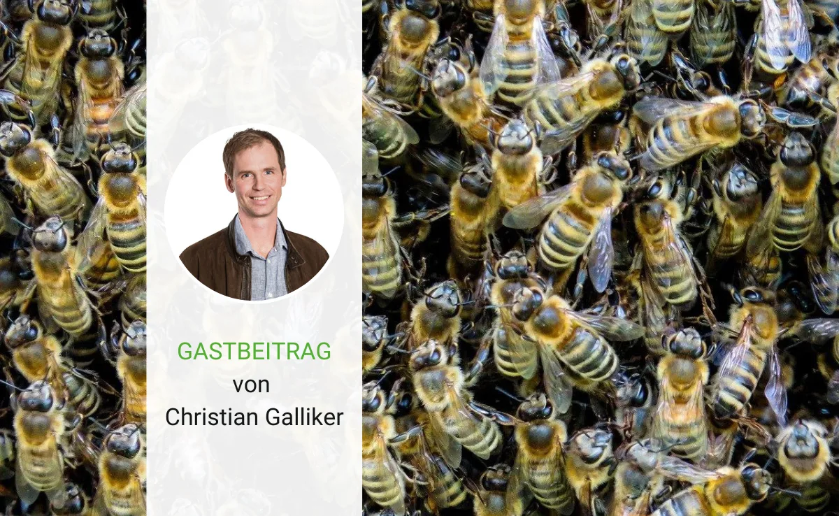 Artikel_Gastbeitrag_BauZ_GallikerVersammlung Es ist Versammlungssaison