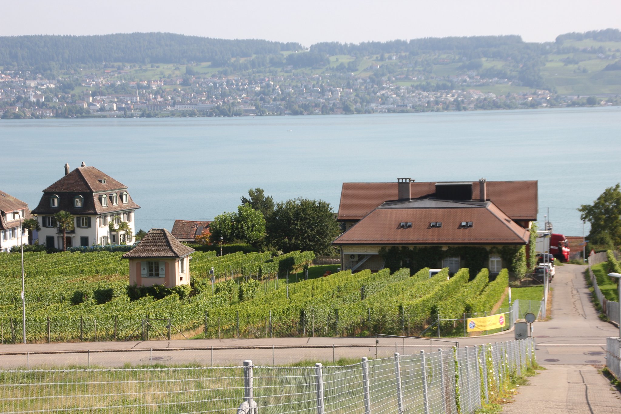 Weinbauern fordern Nachbesserungen beim Projekt Nachhaltiger Weinbau Schweiz