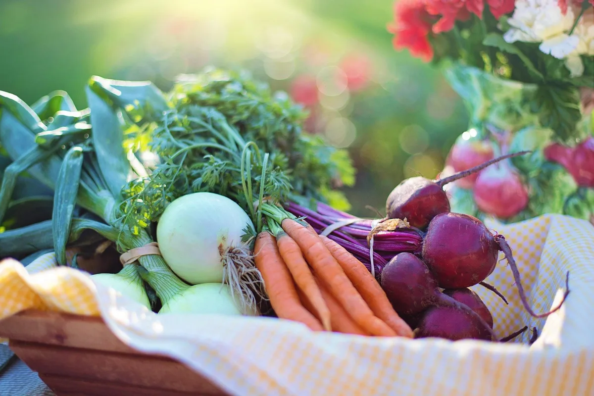 vegetables-2485055_1920 Wie man Entzündungen mit gesunder Ernährung lindern kann