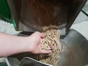 Wald-Pellets haben Zukunft und sind eine Chance für die hiesige Waldwirtschaft, ist «Beo-Holz» überzeugt. (Bild zVg)