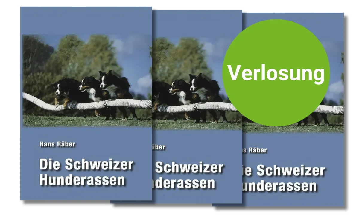 DG_Hunderassen Buchbesprechung: Interessante Entwicklung der Schweizer Hunderassen