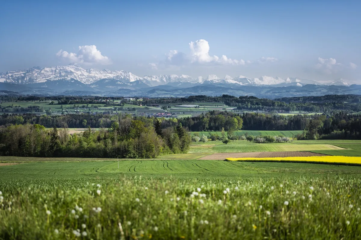 «Wir fordern ein Bekenntnis zu den notwendigen landwirtschaftlichen Flur- und Nebenstrassen»