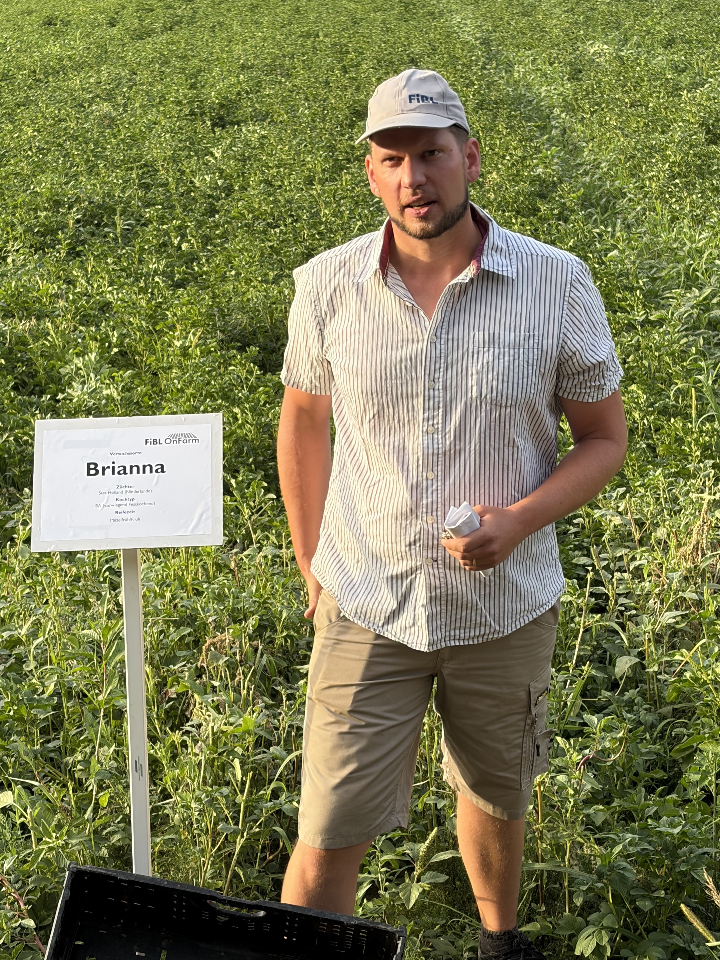 Tobias Gelencsér stellte beim Bio-Kartoffelhöck auf dem Tännlihof den FiBL-Sortenversuch vor.