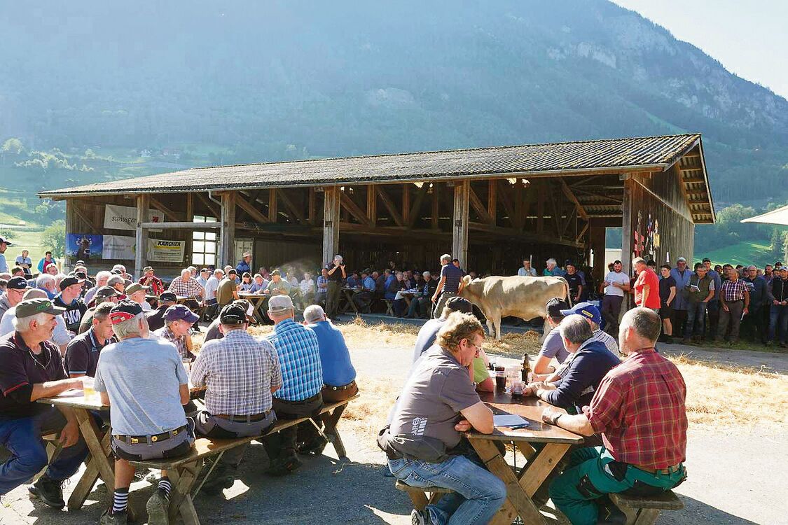 Viele Besucher und interessierte Käufer waren an der Obwaldner Zucht- und Nutzviehauktion auszumachen.