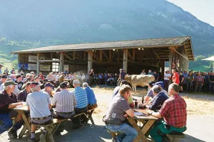 Viele Besucher und interessierte Käufer waren an der Obwaldner Zucht- und Nutzviehauktion auszumachen.