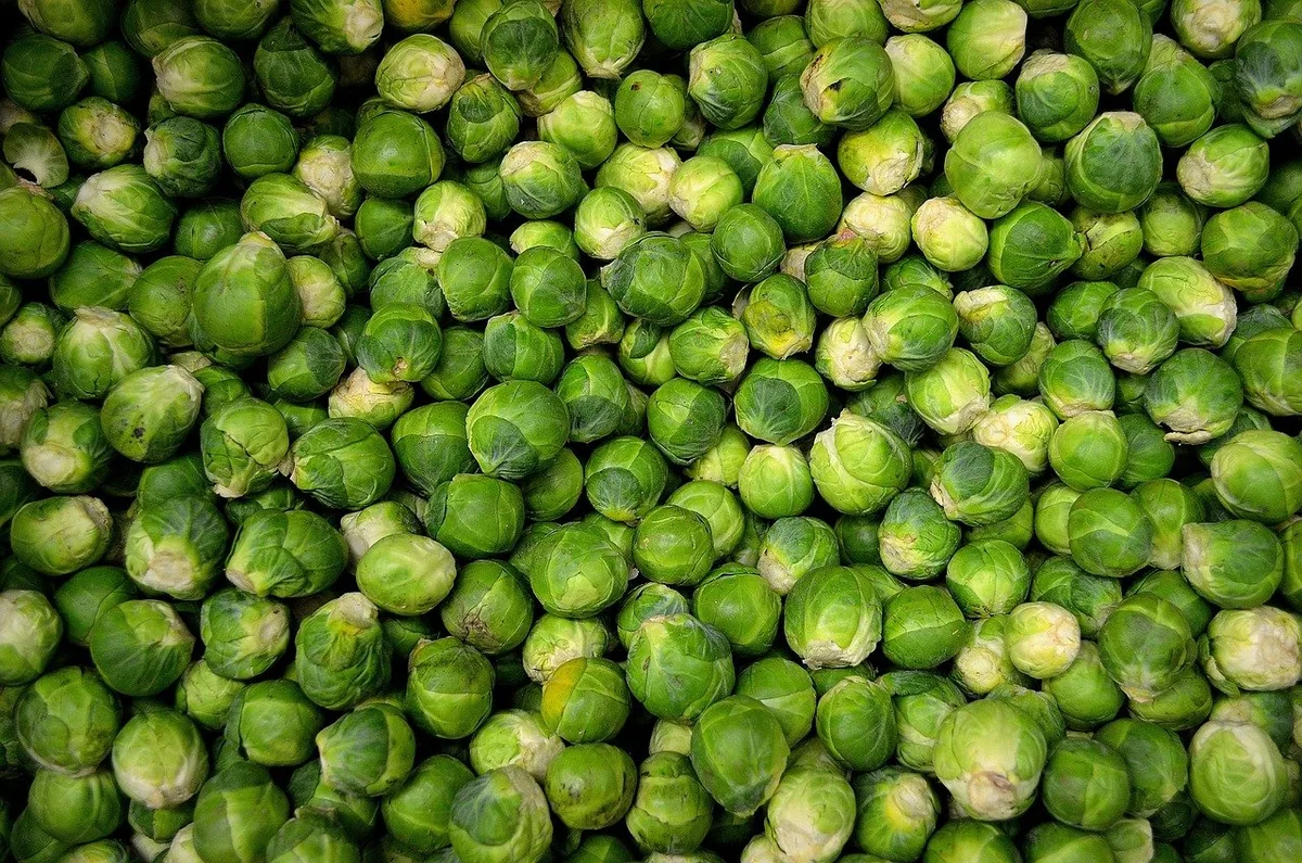 brussels-sprouts-22009_1280 Schweizer Rosenkohlanbau unter Druck