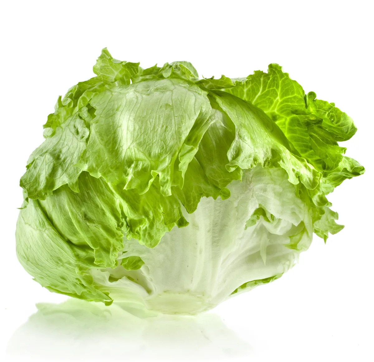 f4229480f28484003809c77ede3d1e64b0d45847 Der Eisbergsalat ist für die Schweizer Bevölkerung die Nummer eins. (Bild VSGP)