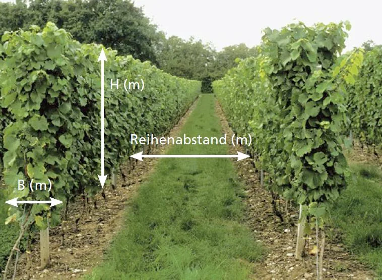 c20daed1db5bbc81294b2225fc8930b71d9b42b4 Dosiermodelle der Agroscope vereinfachen die Berechnung der blattflächenangepassten Dosierung. Erforderlich sind dafür unter anderem die Angaben der Laubwandhöhe, der Laubwandbreite und des Reihenabstands. (Bild Agroscope)