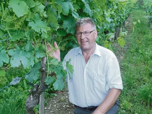 Winzer Peter Wehrli hat durch Moon Privilege 2015 die halbe Ernte verloren. Nun will er dafür adäquat entschädigt werden.