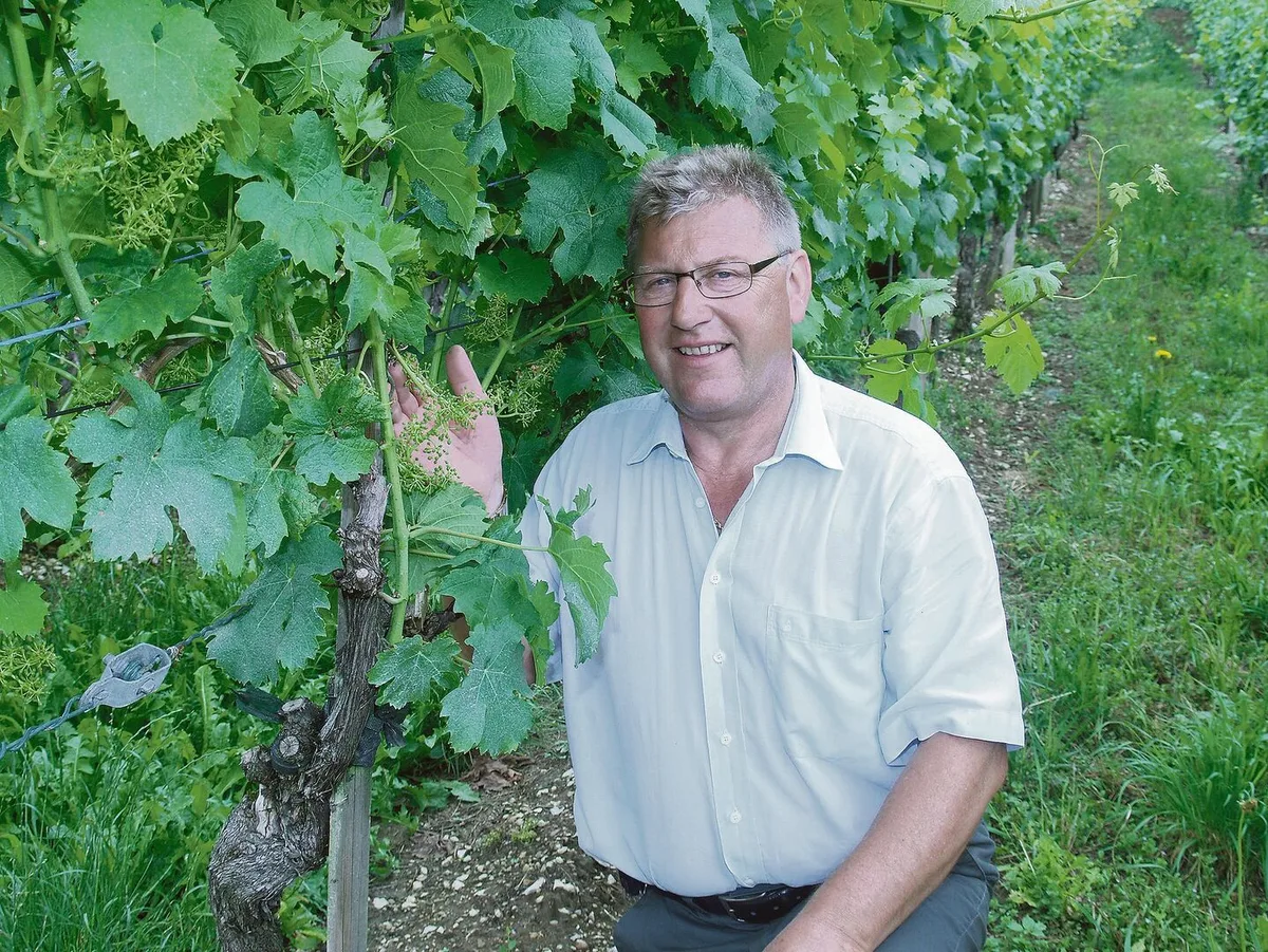 fe1fdfb0da455d38fef4ceb6ba2c6f32d10ef57714a7a5e2da672996e8ff20a8 Winzer Peter Wehrli hat durch Moon Privilege 2015 die halbe Ernte verloren. Nun will er dafür adäquat entschädigt werden.