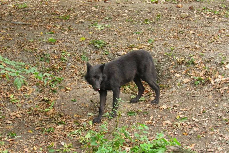 f0c737c8ff32a47bd776cbb16ba499ca4fbed8fd (Symbolbild Konrads Bilderwerkstatt CC BY-ND 2.0)