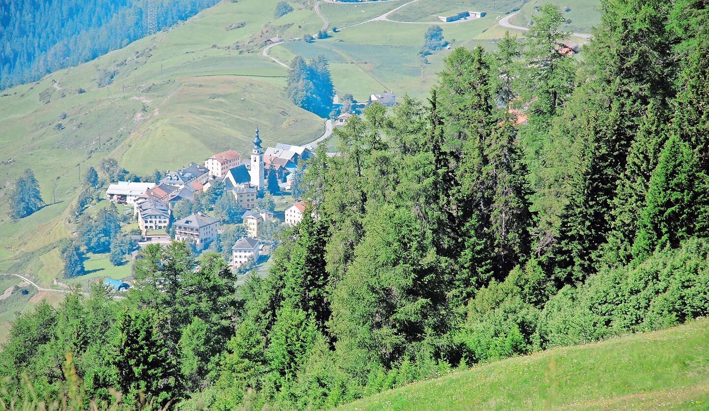Schutzwald oberhalb von Ftan GR. Der Klimawandel kann die Schutzwirkung beeinträchtigen, die Waldbestände müssten durch Verjüngung angepasst werden, fordern Forstfachleute.