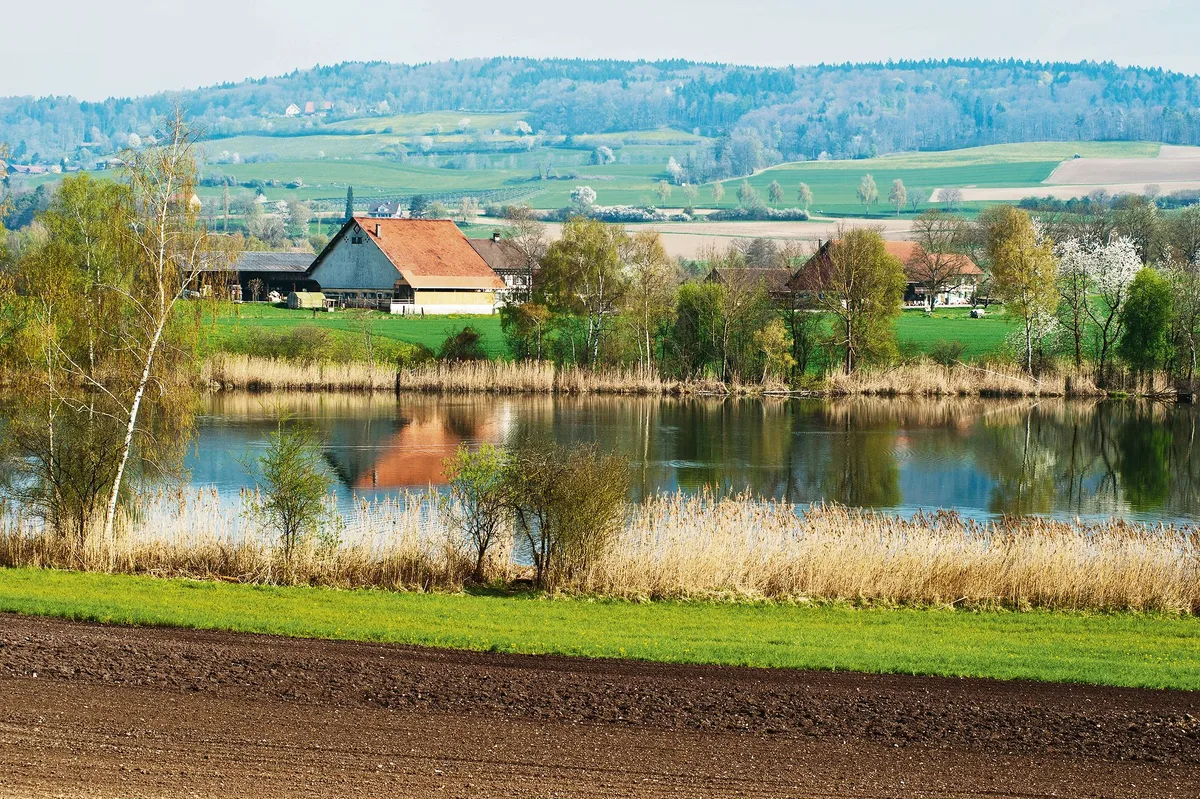 a603e352a00ca848897411ad9a634f73b580a047 Pufferstreifen an einem See: Der Massnahmenplan Sauberes Wasser will das Schweizer Wasser, wie es der Name sagt, besser schützen. (Bild Agroscope)