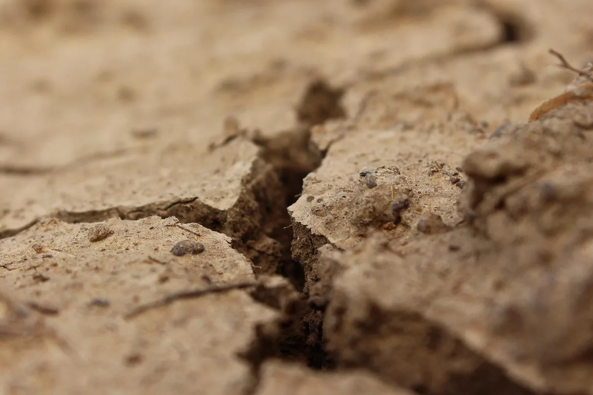 crack-g04263d4ad_1920 Wachsen ohne Wasser - Pflanzen für eine trockene Welt