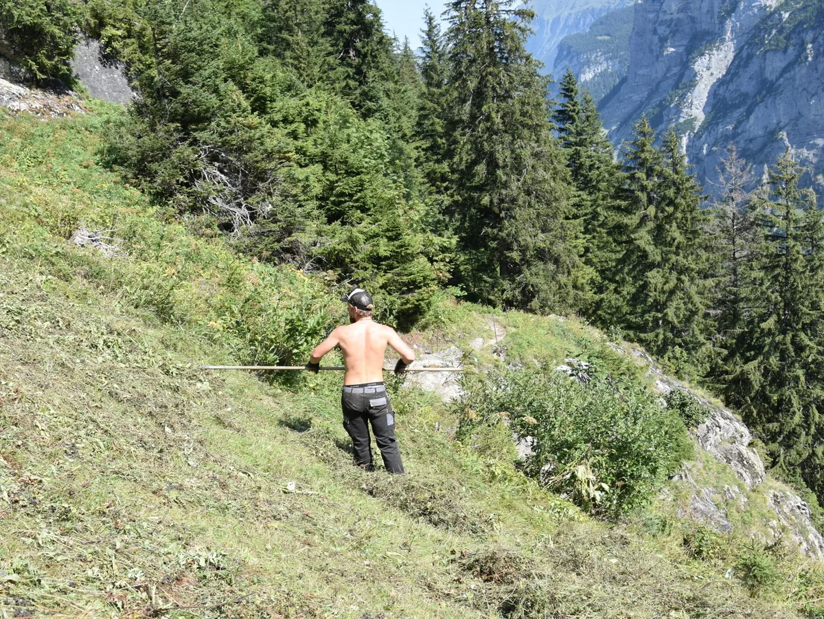 Wenn im Sommer den ganzen Tag die Sonne auf den Kopf scheint, ist Vorsicht geboten. 