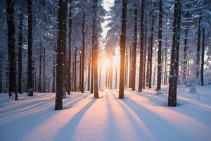 Oft sind es die kleinen Dinge im Leben, wie beispielsweise ein Sonnenaufgang, die glückliche Momente bescheren und einem Kraft geben.