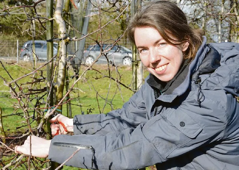 16e8ab0572f15a485812a3120f5075219a3c3e5a Ronja Ottink war in den Niederlanden als Gemüsegärtnerin tätig, bis sie ihre Leidenschaft für den Obstbau entdeckte. Für die Lehre zur Obstbaufachfrau ist sie in die Schweiz gezogen. (Bild Marianne Stamm)