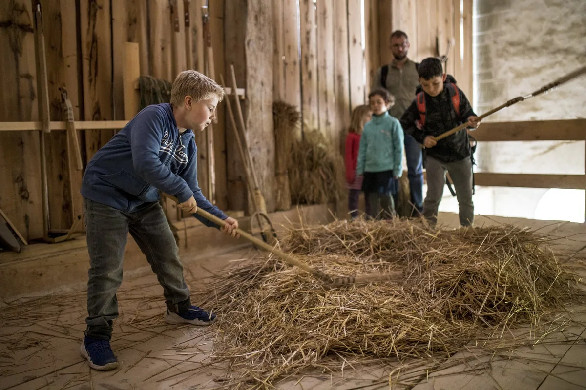 2019-05-26_dabi_531-Dreschen_1640 Das grösste Erntedankfest der Schweiz im Freilichtmuseum Ballenberg