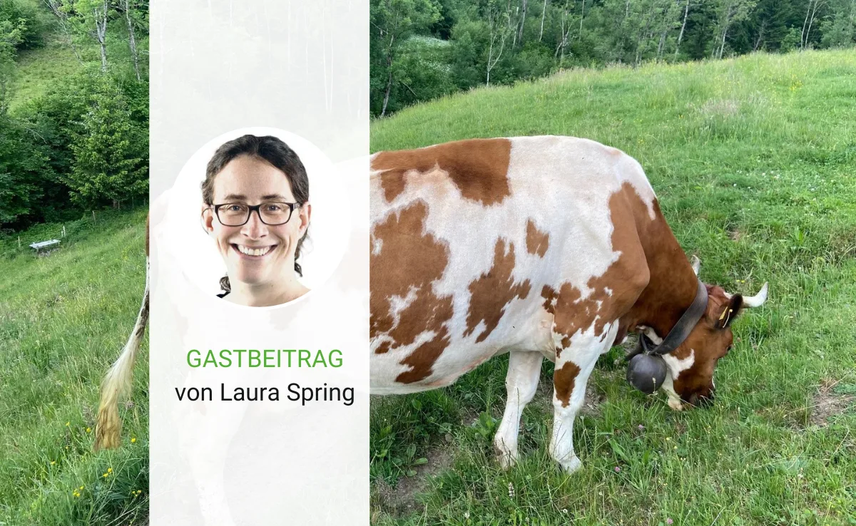 Artikel_Gastbeitrag_BauZ__13_ Es braucht Anstrengungen, um die Treibhausgas-Emissionen auf Kurs zu bringen