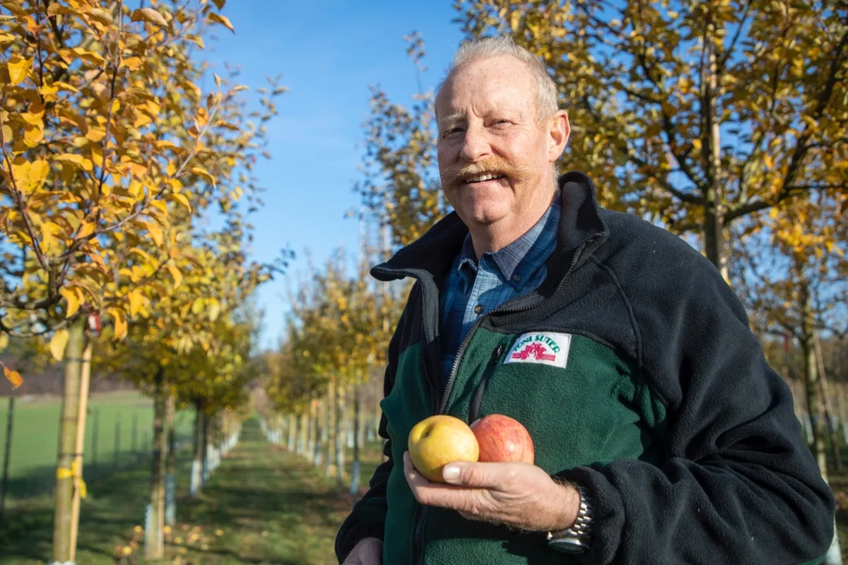 d14bb927036b5de1add932b42a6df9d8ec7a75b8 Toni Suter ist Baumschulist aus Leidenschaft. «Einen Baum setzt man für Generationen», sagt Suter. Bild: Gian Vaitl