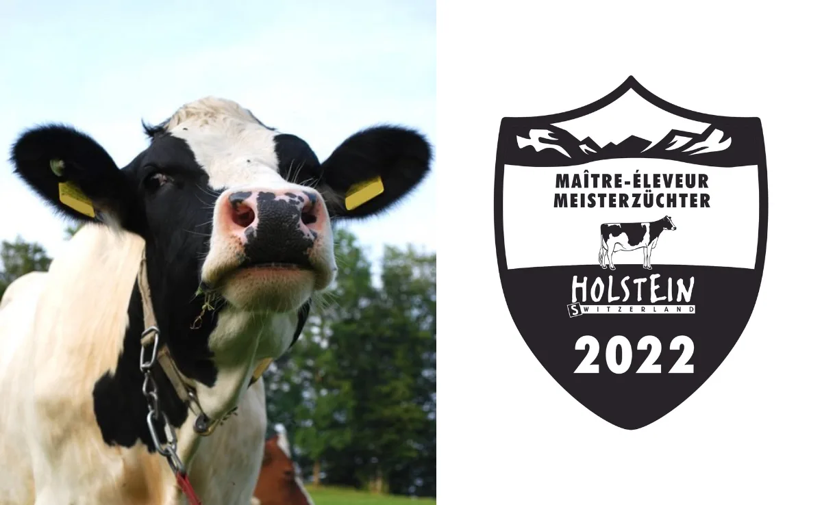 Die Holstein-Meisterzüchter 2022 sind bekannt