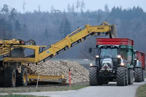 Die Entwicklung des Schweizer Zuckerrübenanbaus war in den vergangenen Jahren von Schwankungen geprägt. Nach einem Rückgang ab 2014 ist seit 2022 wieder ein leichter Aufschwung zu erkennen.