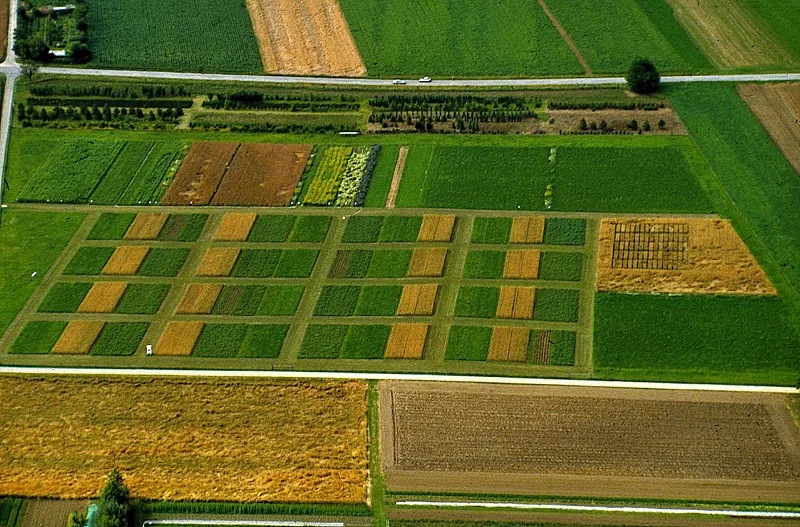 7ef89aa2eb39cdf9b9c5440de3c2c490b602dff3 Der DOK-Versuch des Fibl aus der Vogelperspektive. Hier werden Mais, Weizen, Kartoffeln, Soja und Kleegras auf unterschiedliche Weise angebaut. (Bild Fibl)