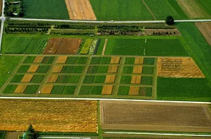 Der DOK-Versuch des Fibl aus der Vogelperspektive. Hier werden Mais, Weizen, Kartoffeln, Soja und Kleegras auf unterschiedliche Weise angebaut. (Bild Fibl)