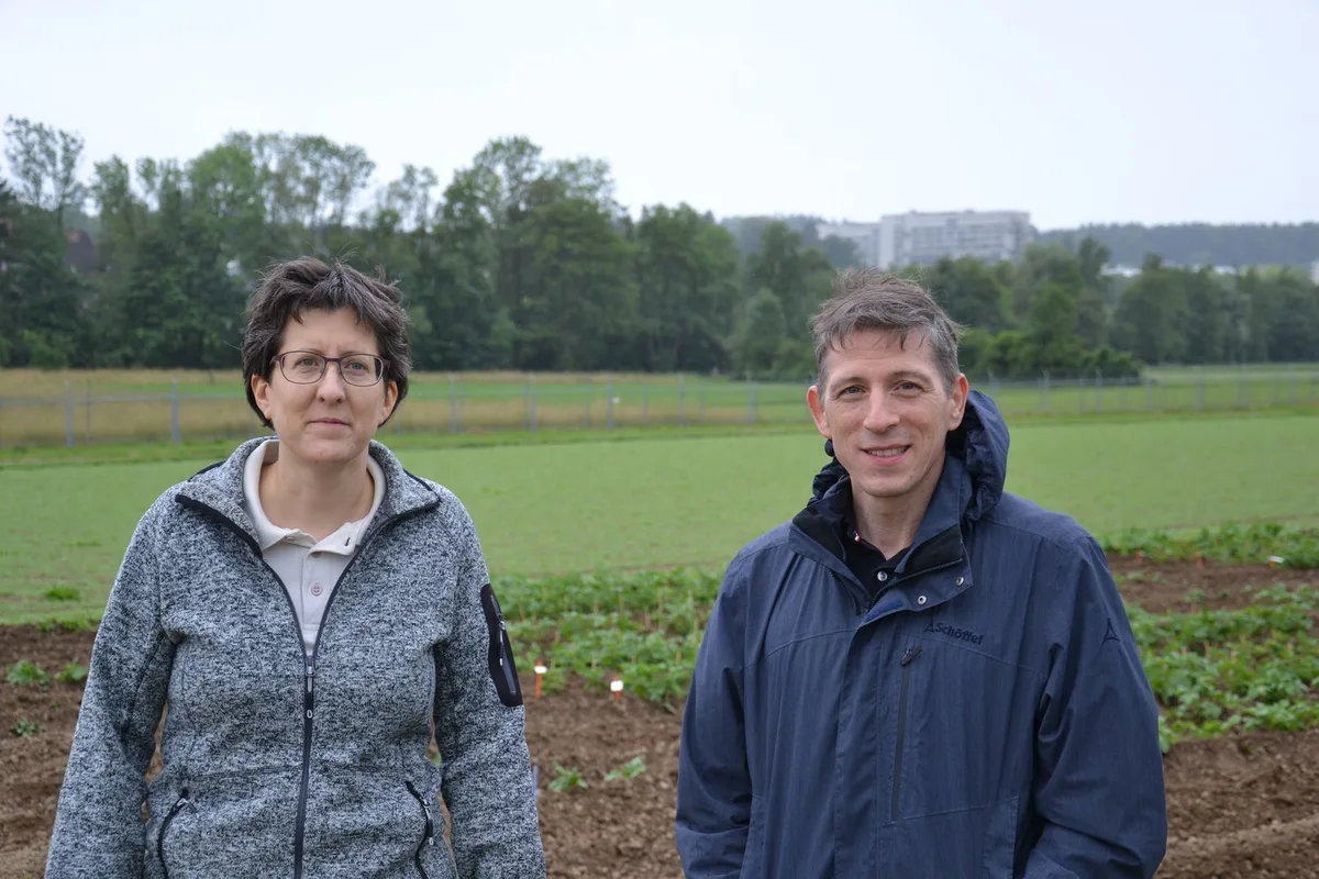 Protected_Site_1.JPG Gentechnik im Feld: Ein Blick hinter die Zäune der Protected Site in Zürich