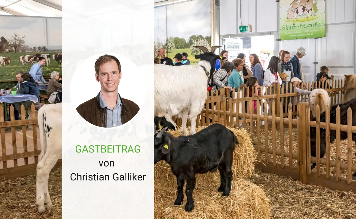Artikel_Gastbeitrag_BauZ_Galliker Hinstehen und reden: Warum es wichtig ist