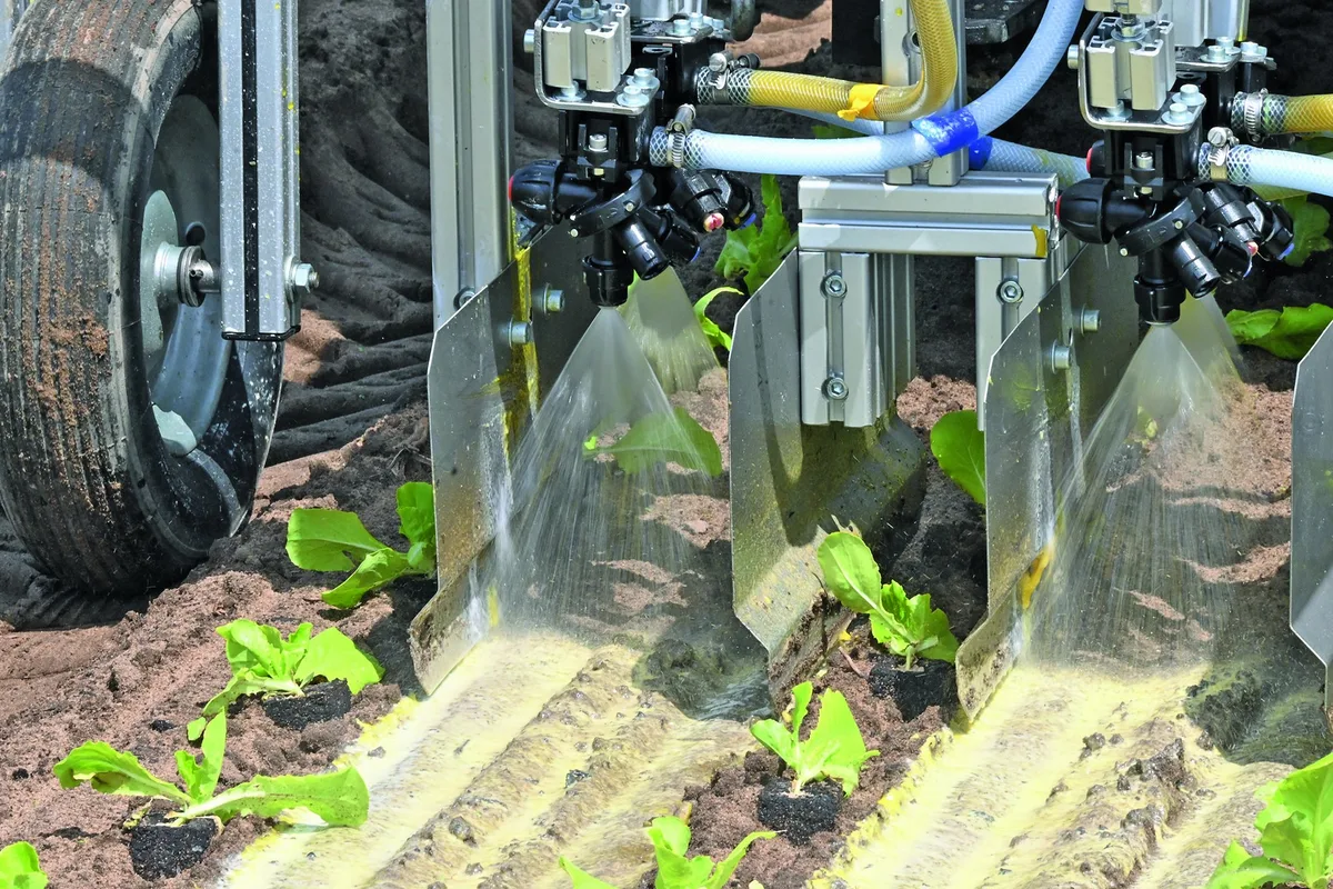 210707_Re_Hoehn_Kopfsalat_022 Der Mulch soll in Zukunft gespritzt statt verlegt werden