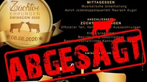 Die Swisscow wird erst 2021 wieder stattfinden. (Bild Swissherdbook)