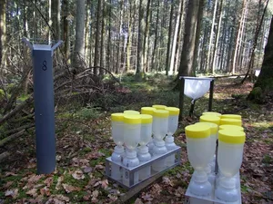 Austausch der Sammler zur Bestimmung des Stoffeintrags mit dem Regen auf der LWF-Fläche in Vordemwald AG. Im Hintergrund ein Streusammler (Bild Peter Waldner/WSL)
