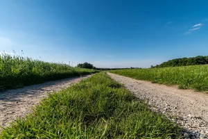 In der IGAS sind unter anderem Bio Suisse, IP-Suisse, Suisseporcs, Fromarte, Emmi, Migros, Coop und die Stiftung für Konsumentenschutz. Die IG möchte das Potenzial des Absenkpfads aufzeigen und die Wertschöpfung im Inland stärken. (Bild Magna_KursUr / Pixabay)