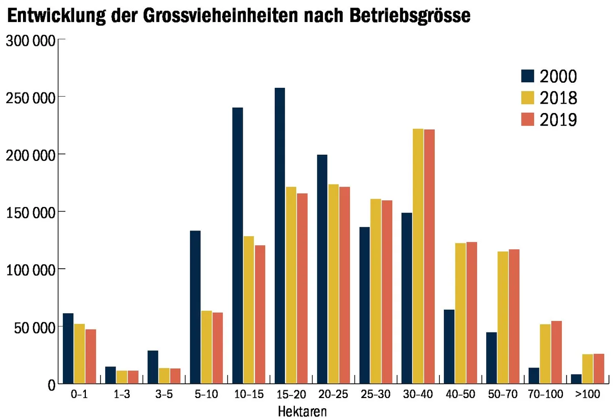 456c340d20e39cd67f05b578d42593fac4560a49 Die Grafik zeigt die Entwicklugn der Grossvieheinheiten nach Betriebsgrösse in den Jahren 2000, 2018 und 2019. (Quelle Bundesamt für Statistik, Grafik mi/BauernZeitung)