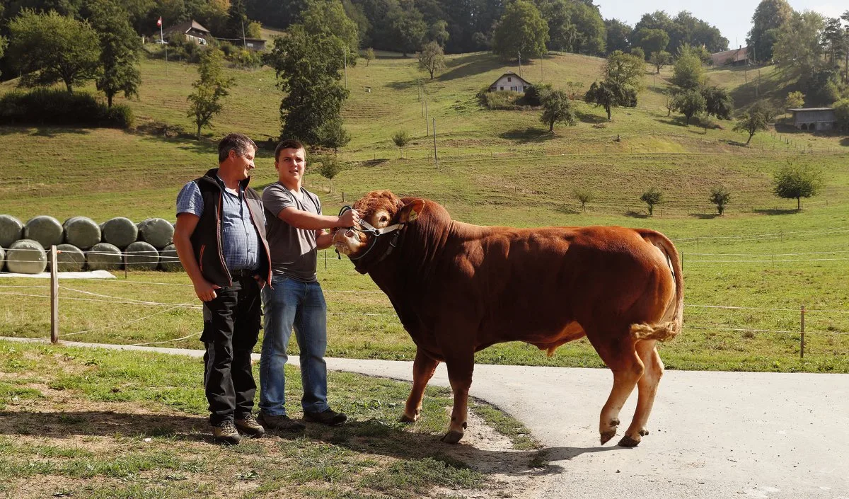 a302051249a765c5c4133d71da6b90444f4b9873 Bei Franz Burri, Limousin-Züchter aus Dagmersellen LU, sind die Lehrstellen für die nächsten drei Jahre bereits vergeben: «Ich weiss, dass das die Ausnahme ist.» Bild: Ruben Sprich