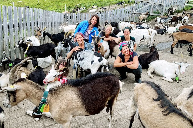 8b179359e4838acdbdce22b7873719194319408c Auf der Alp Puzzrtta arbeiten ausschliesslich Frauen. Kurzzeitig ist auch Fernseh-Frau Mona Vetsch dabei. (Bild SRF)